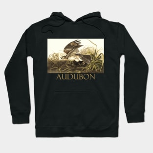 Winter Hawk by John James Audubon Hoodie